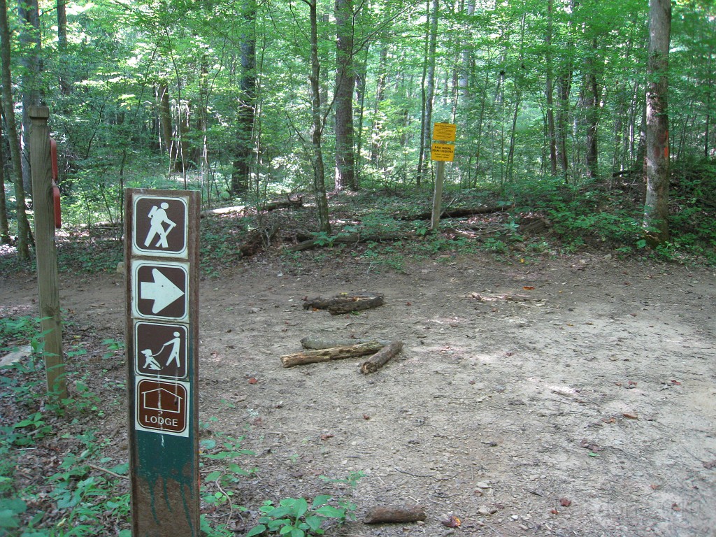 Helen to Unicoi 2010 0170.jpg - This is the place it is not marked so well, someone put down dead limbs to show the direction. I guess the arrow on the post means you go thay way too. Just didn't seem clear.